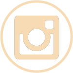 icona-instagram-home